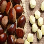 공주알밤 생밤 햇밤 대 1kg : 자자이츠