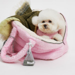 루이독 비스코스 어라운드백 Grand : 롯데백화점 부산본점