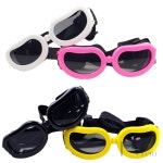 중소형강아지고글 강아지선글라스 애견안경 : 자연채담