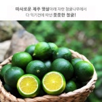 민트라벨 제주 청귤 파우더 800g : 유니 공간