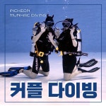 커플 체험 다이빙 스킨스쿠버 원데이클래스 (바다앤 문학다이빙, 문학박태환수영장) : 인천문학다이빙 스킨스쿠버