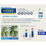 대유 다운겔 500ml 수용성 인산가리 고구마 순억제제 웃자람 방지 감자 다육이 : 농사친구