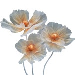 자이언트 플라워 대형 꽃 조화 웨딩 촬영 결혼식 장식 : 하늘배송대행