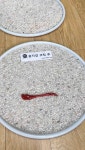 콩자갈 충진재 [주제+경화제 9L] 코팅 셀프 시공 간편한 바닥 청소 : 디오 인터내셔널