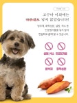 handsome 강아지 도도한 고구마 750g - 큐브 : 핸썸handsome