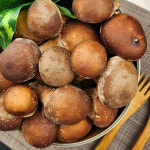 농장직송 무농약 참송이버섯 선물용 가정용 1kg : 산해별미