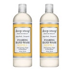 딥스팁 포밍 핸드 워시 리필 자몽 베르가모트 향 474ml 2개 : 서래무역
