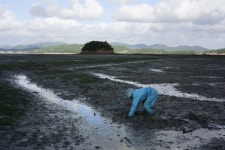 신안 가란도_강제윤_2016 : 백섬백길스토어