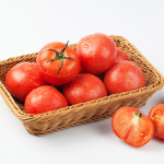 산지직송 완숙 찰토마토 3kg 5kg : 오렌지씨