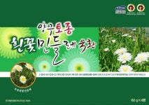 양구토종 흰꽃 민들레환 : 양구토종민들레영농조합