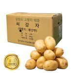 강원도 왕산면 씨감자 감자 종자 두백 20kg 보급종 씨앗 : 영진팜