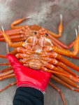 국산 후포리 제철 박달홍게 자숙 4kg : 바른수산 바른생선