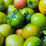 짭잘이토마토 단마토 짭짜리 대저짭짤이 2.5kg 5kg 완숙 부산 찰토마토 : 첫번째샵