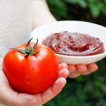 토마토고추장 순창 수제 국산 담예찬 1kg : 순창고추장마을