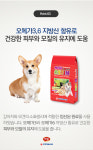 성장에 필요종 영양소를 균형있게 천하제일 뉴아스틴 자견 임신견 애완견 실내견 어린 강아지 사료 닭고기, 5kg, 2개 : 주식회사 좋은친구
