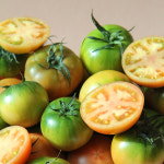 대저농협 짭짤이 토마토 부산 대저토마토 : 배부른농장