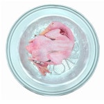 흥국농산 유황생오리 1마리 약3kg : 자연몰