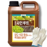 가든애 대유 샤인루트 포도 뿌리발근제 뿌리발달 발근 촉진제 5L : 가든애
