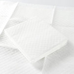 미스터추추 강아지 데일리 배변패드 무향 15g 절약형, 100매입, 3개 : 미스터추추