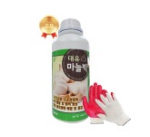 대유 마늘빅 1L 구근비대제 마늘굵기 수확량 증대 양파 비대제 흥농팜아그로 : 흥농팜아그로