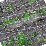 유빈 식물그물 5m 텃밭 가꾸기 원예용품 주말농장 텃밭가꾸기 : 유빈플레이스