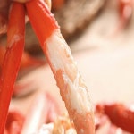 울진홍게 후포리홍게 자숙홍게 홍개 국산 국내산 실속형3kg : 자자이츠