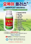 오복이플러스 500cc 수용성 유황규산 유기농 친환경 탄저병 영양제 : 신세계식물병원