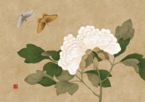 심연 작가 흰색 화접도 작품 액자 A3 민화 그림 : 컨티뉴 아트샵
