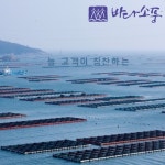 완도 활전복 10-11미 1kg : 완도바다소풍