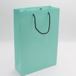 코팅 민트 T3호(260x100x350)  50장 : 명성쇼핑백