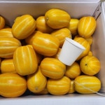 참외 성주 벌꿀 1kg 2kg 5kg 석군 경북성주참외 : 가락시장 목포상회 과일