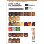 바이오메드 플래티넘 칼라크림 저자극 셀프염색 새치 멋내기 미용실염모제 150g (6개당 1000ml 산화제1개) : 새론장터