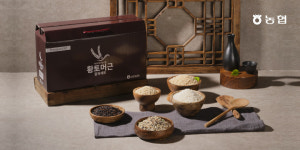 [보은농협] 황토머근 잡곡세트 1호(찹쌀, 현미, 찰보리, 찰흑미, 혼합곡 각 1kg) : 정이품 보은농협