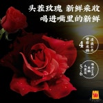 중국 화차 50gx2개 장미차 꽃차 깊은향 운남 동결건조 : 스토어10