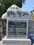 영호수산 국산 홍어 250g,500g,1kg : 돌산댁