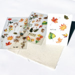 플라워 판박이스티커 6종 / 데코스티커 다꾸 캘리그라피 : 기쁨기업