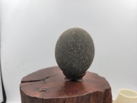 자연석 수석 좌대석 좌대포함 반려수석 인테리어 소품 : 토종식물농장