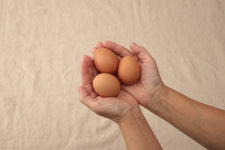 자유란농장 NON-GMO논지엠오 유정란 30,60,90알 난각번호2번 산지직송 : 자유란농장