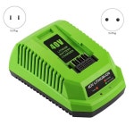 Greenworks 29482G-MAX용 리튬 배터리 충전기, 40V 이온 : 플라이버드스토어
