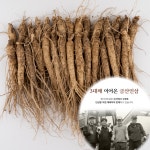 금산 세척 인삼 수삼 왕가네 원수삼 믹서 750g : 왕가네인삼
