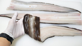 어촌의 달인 바다장어 아나고 붕장어1kg : 어촌의 달인