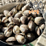 벌교 꼬막 당일조업 새꼬막 1kg 산지직송 : 농수산물유통