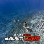 프리다이빙 강습 고급과정 [대구,울산,포항,구미,부산] : 웨일스 다이빙 투어
