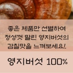 국산 영지버섯 500g 절단 건조 버섯 : 꽃길식품