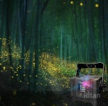 야외 방수 반딧불 레이저 공원 프로젝터 조명 별 캠핑 무드등 밤하늘 은하수조명 LED : 리탄스토어