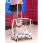 강아지 고양이 투명 캐리어 애완동물 외출 이동 가방 : 직구다있슈