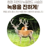 2025 김오곤 녹용홍삼보 프리미엄골드 4개월분 6년근 녹용홍삼 건강 명절 선물 세트 : 씨앤클릭