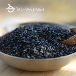 2025년 국산 볶은 검은깨 흑임자 500g 볶은검정깨 : 소화농장