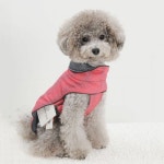 20% 특가 할인 행사중 [페르비엘라] AIR COAT -B핑크 (ABF242) : 폼펫-FORMPET