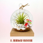 미니 이오난사 스칸디아모스 이끼 테라리움 만들기 키트 DIY 초등 원예활동 : 만들기 세상